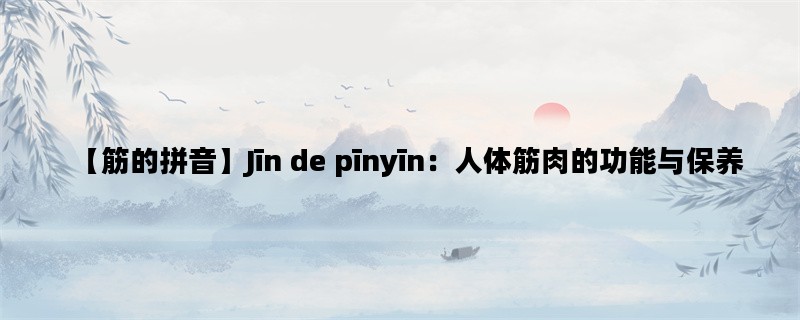 【筋的拼音】Jīn de pīnyīn：人体筋肉的功能与保养