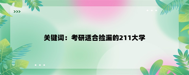 关键词：考研适合捡漏的211大学