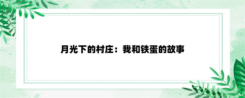 月光下的村庄：我和铁蛋的故事