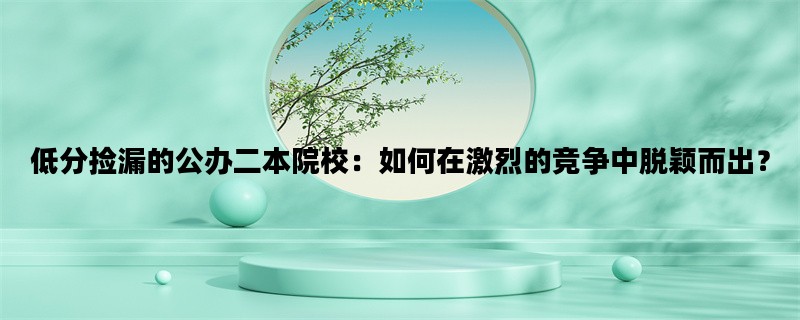 低分捡漏的公办二本院校：如何在激烈的竞争中脱颖而出？