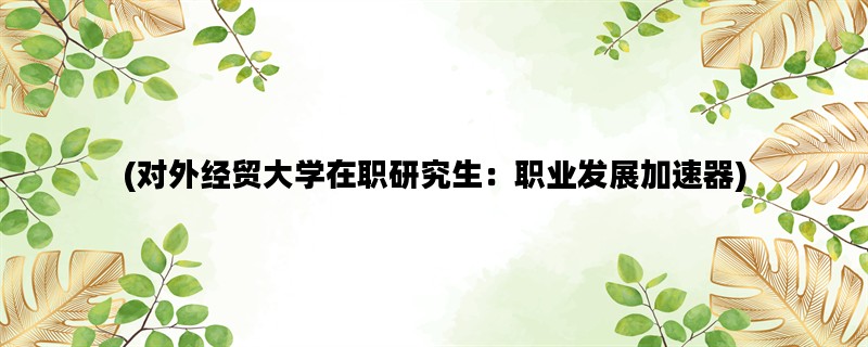 (对外经贸大学在职研究
