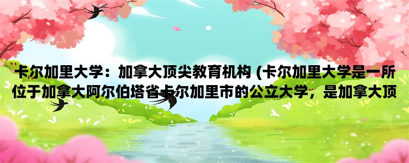 卡尔加里大学：加拿大顶