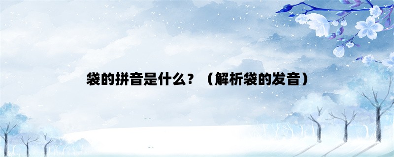 袋的拼音是什么？（解析袋的发音）