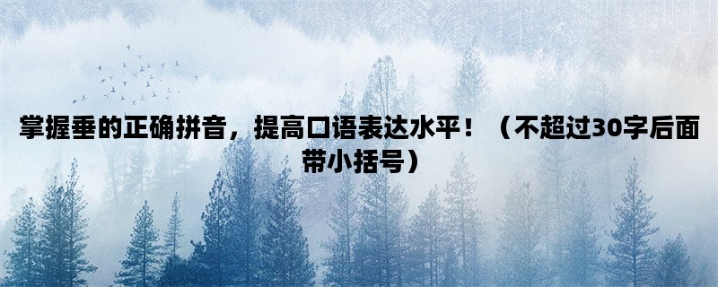 掌握垂的正确拼音，提高