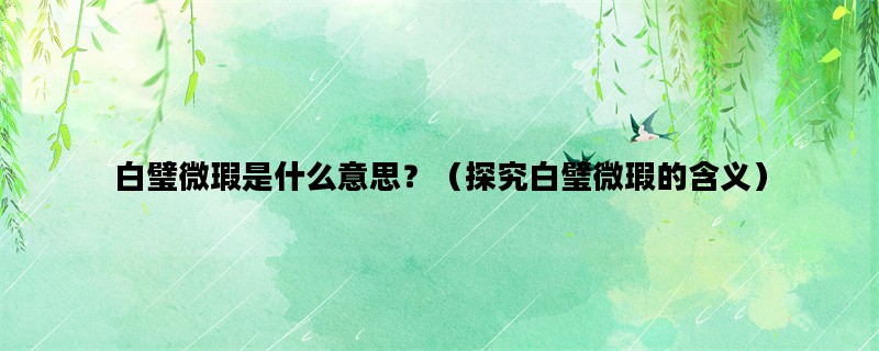 白璧微瑕是什么意思？（