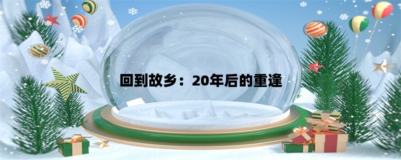 回到故乡：20年后的重逢