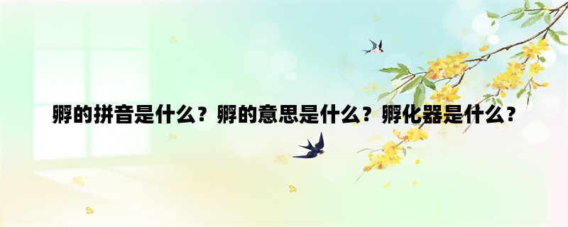 孵的拼音是什么？孵的意思是什么？孵化器是什么？