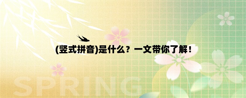 (竖式拼音)是什么？一文带你了解！