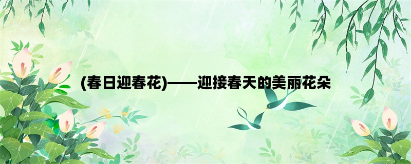 (春日迎春花)——迎接春