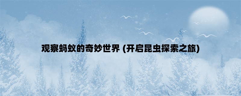 观察蚂蚁的奇妙世界 (开