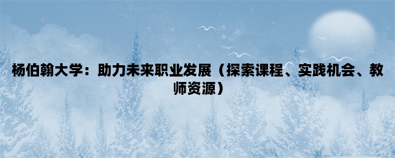 杨伯翰大学：助力未来职业发展（探索课程、实践机会、教师资源）