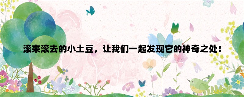 滚来滚去的小土豆，让我