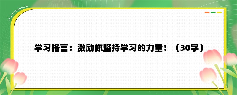 学习格言：激励你坚持学习的力量！（30字）