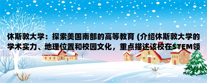 休斯敦大学：探索美国南