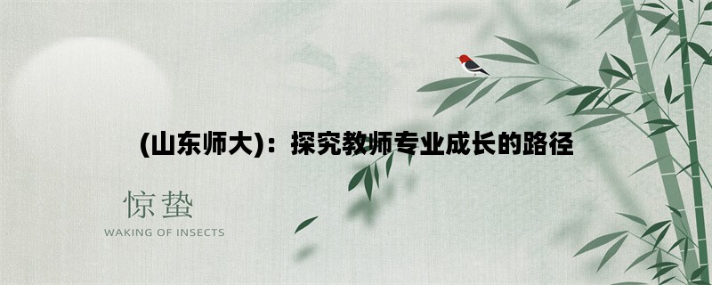 (山东师大)：探究教师专业成长的路径