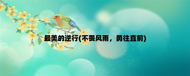 最美的逆行(不畏风雨，