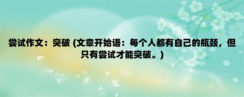 尝试作文：突破 (文章开