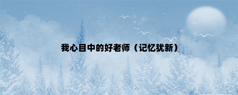 我心目中的好老师（记忆