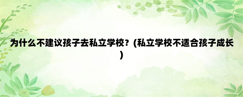 为什么不建议孩子去私立