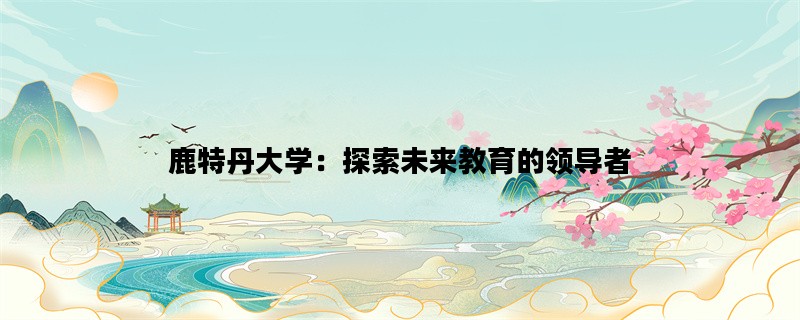 鹿特丹大学：探索未来教育的领导者