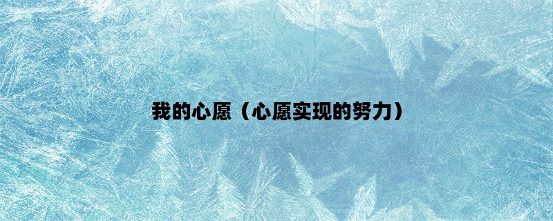 我的心愿（心愿实现的努力）