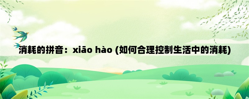 消耗的拼音：xiāo hào (如何合理控制生活中的消耗)