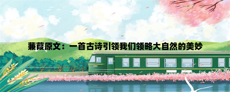 蒹葭原文：一首古诗引领