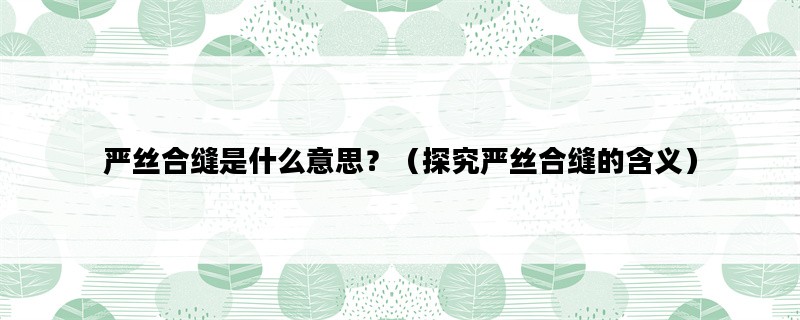 严丝合缝是什么意思？（探究严丝合缝的含义）