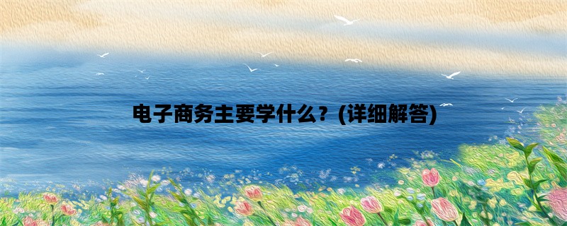 电子商务主要学什么？