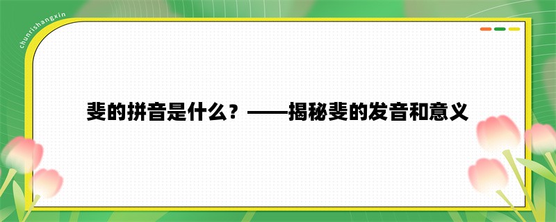 斐的拼音是什么？——揭秘斐的发音和意义
