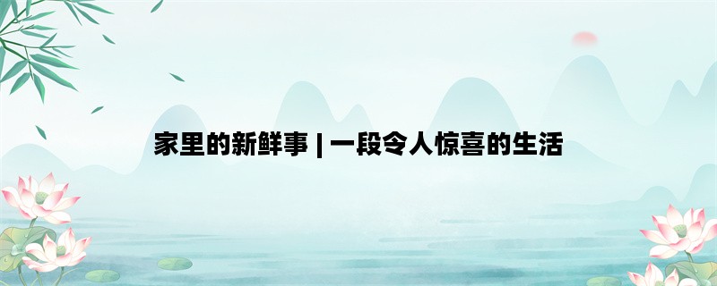 家里的新鲜事 | 一段令人