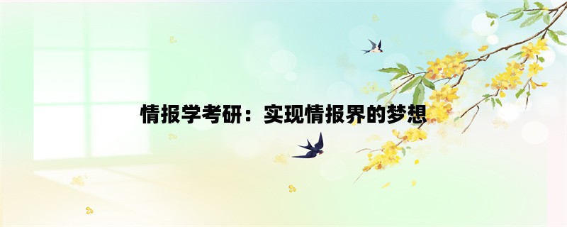 情报学考研：实现情报界的梦想