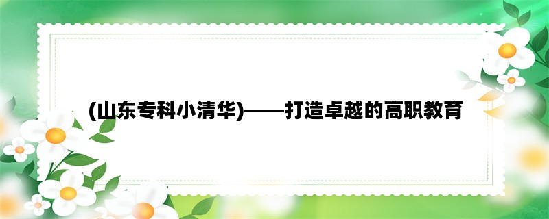 (山东专科小清华)——打造卓越的高职教育