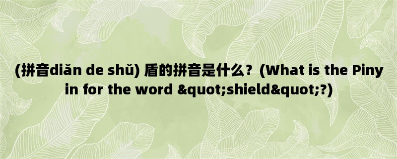 (拼音diǎn de shǔ) 盾的拼音是什么？(What is the Pinyin for the word &quot;shield&quot;?)