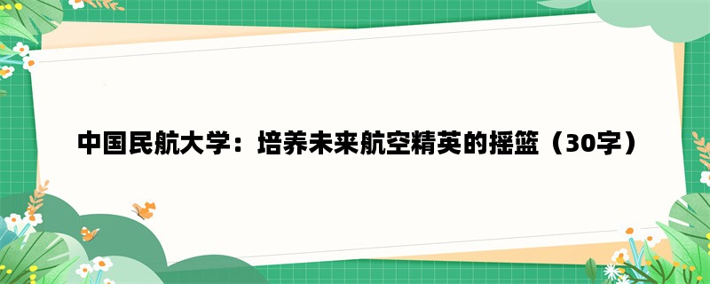 中国民航大学：培养未来航空精英的摇篮（30字）