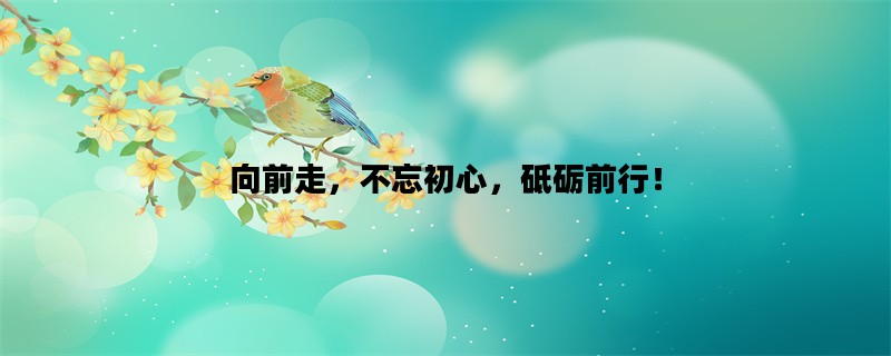 向前走，不忘初心，砥砺前行！
