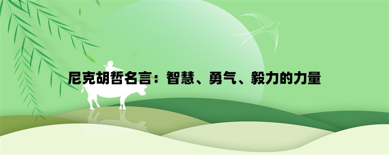 尼克胡哲名言：智慧、勇