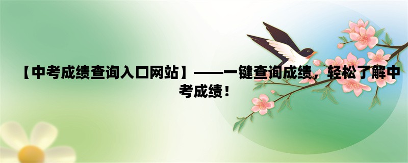 【中考成绩查询入口网站