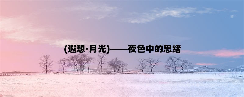 (遐想·月光)——夜色中的思绪