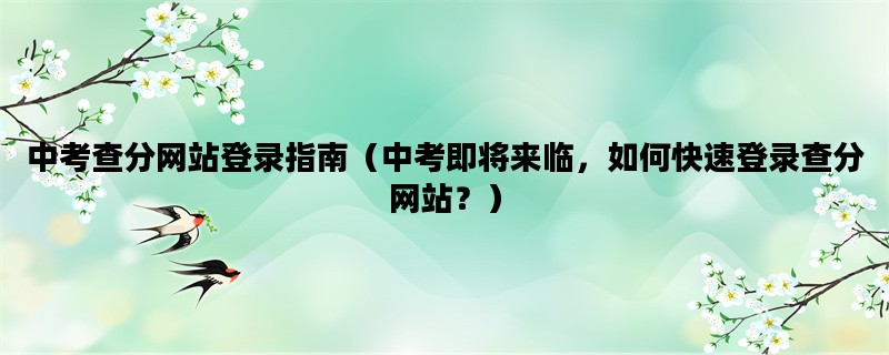 中考查分网站登录指南（