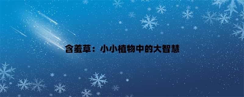 含羞草：小小植物中的大智慧