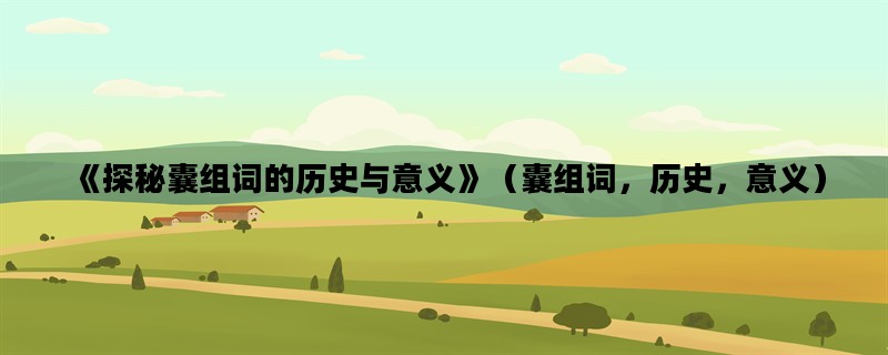 《探秘囊组词的历史与意义》（囊组词，历史，意义）
