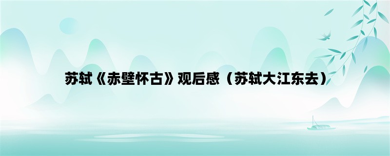 苏轼《赤壁怀古》观后感（苏轼大江东去）
