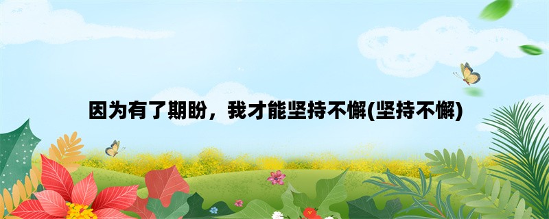 因为有了期盼，我才能坚持不懈(坚持不懈)