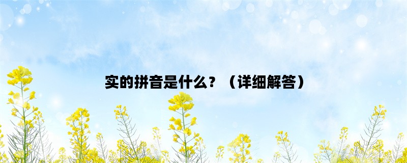 实的拼音是什么？（详细解答）