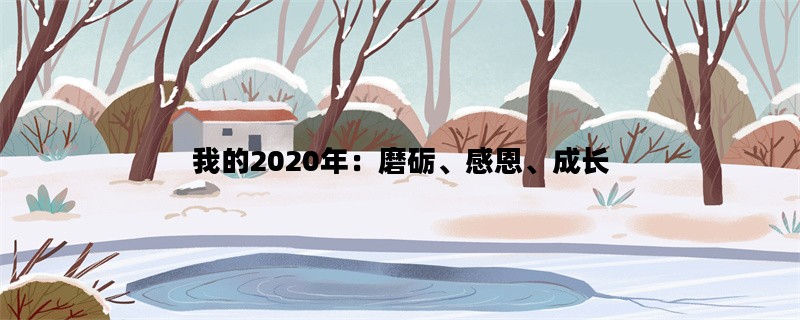 我的2020年：磨砺、感恩、成长