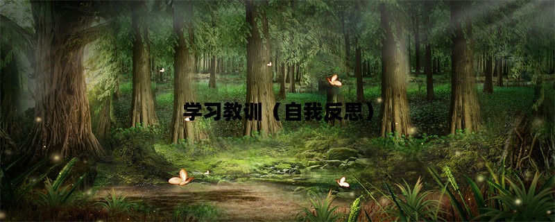 学习教训（自我反思）