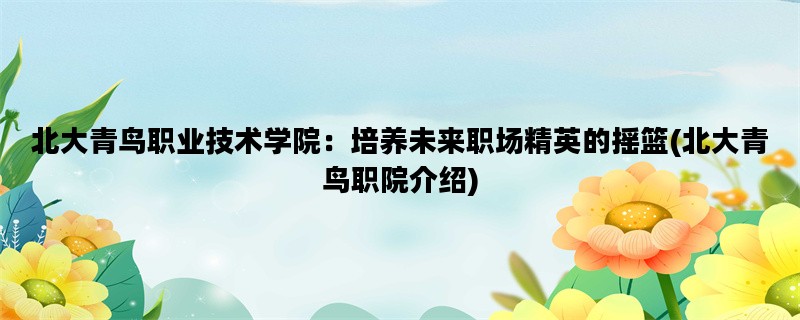 北大青鸟职业技术学院：
