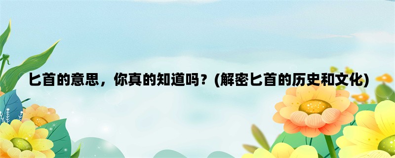 匕首的意思，你真的知道吗？(解密匕首的历史和文化)