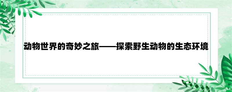 动物世界的奇妙之旅——
